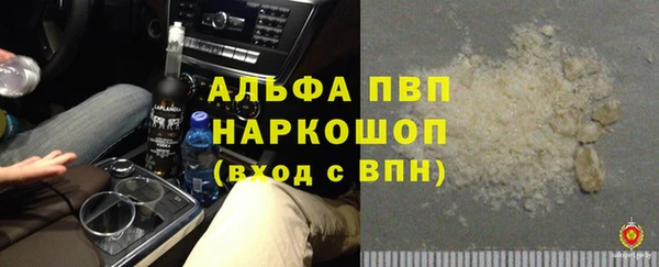 стафф Снежногорск