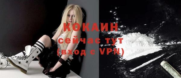 прущие грибы Белоозёрский