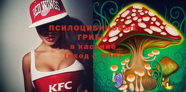 мдпв Богданович