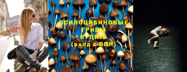 jwh Богородск