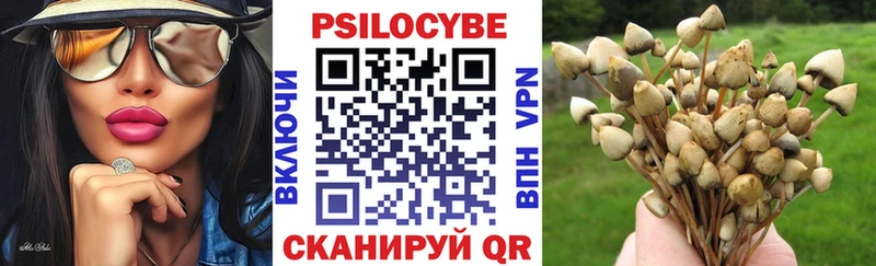 Псилоцибиновые грибы GOLDEN TEACHER Балей