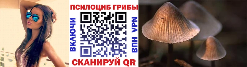 Псилоцибиновые грибы MAGIC MUSHROOMS где продают Балей