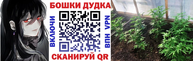 Канабис конопля  как найти закладки  Балей 